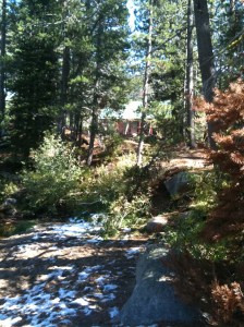 CABIN 1 photo (4)